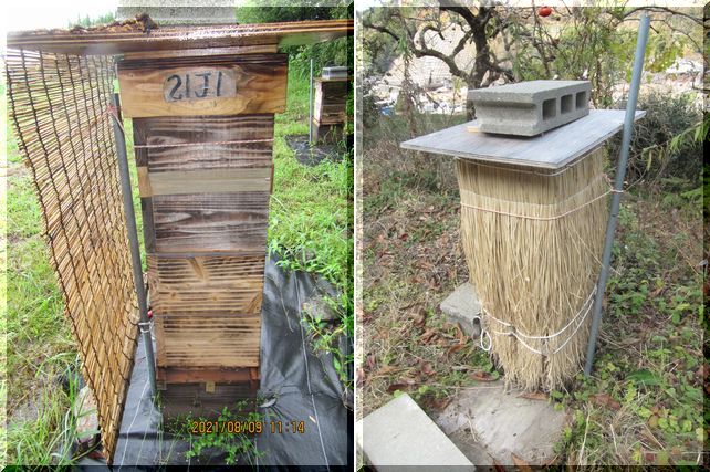 環境対策例その2