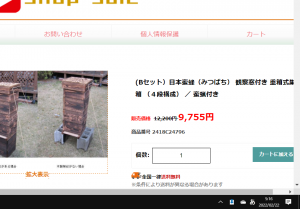 詐欺サイトのHP