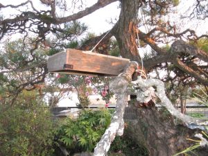 巣箱の近くに設置した分蜂誘導板